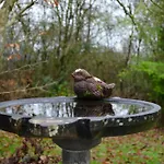 Le Relais D'hubert Saint-Hubert
