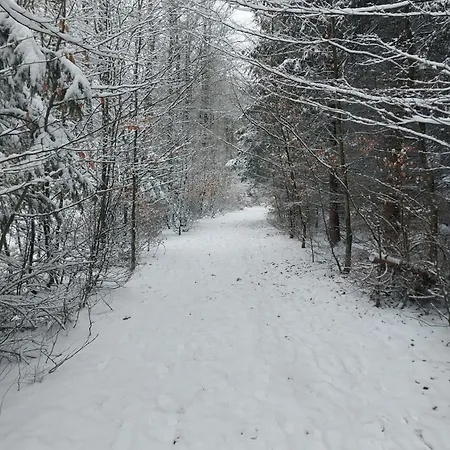 Le Relais D'hubert Guest house 3*