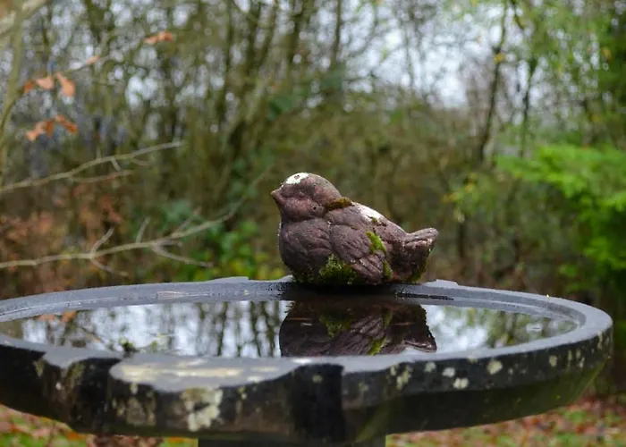Le Relais D'hubert Saint-Hubert