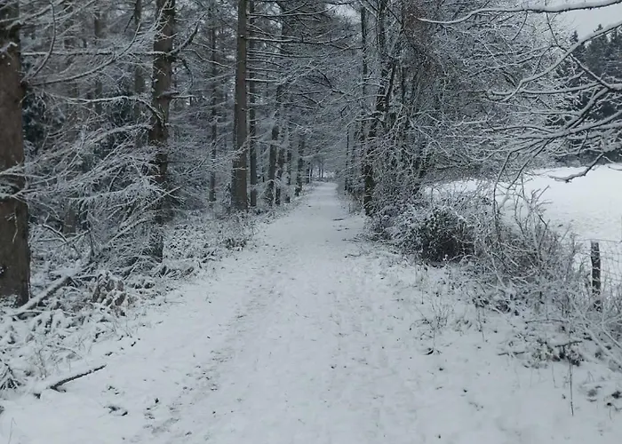 Le Relais D'hubert Gasthuis 3*