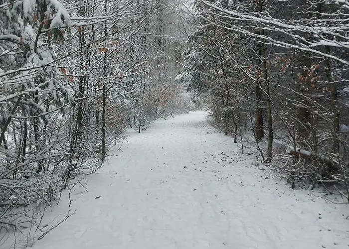 Le Relais D'hubert Guest house 3*